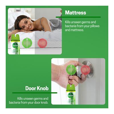Dettol Multi-Purpose Disinfectant Spray For Hard & Soft Surfaces - Original Pine 225 ml - Others