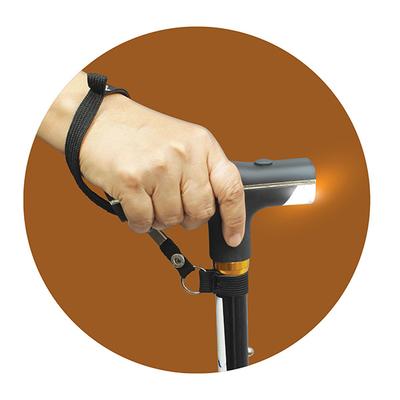 Entros Height Adjustable Aluminum Stick (931L) - Others Ortho Supports