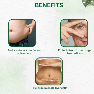 Dr. Vaidya's Liver Care Capsule (Pack of 2 x 30's) - Speciality Medicines