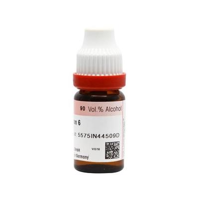 Dr. Reckeweg Rhus Toxicodendron 6 Liquid 11 ml - Dilutions
