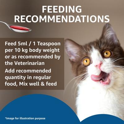 Drools Absolute Salmon Oil Syrup for Cats 150 ml - Petfood