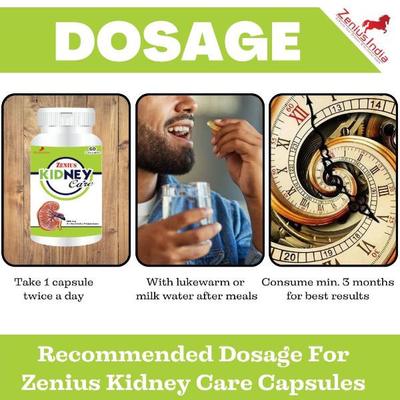 Zenius Kidney Care 500 mg Capsule 60's - Speciality Medicines