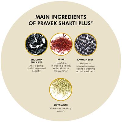 Pravek Shakti Plus Tablets 30's - Sexual Healthcare