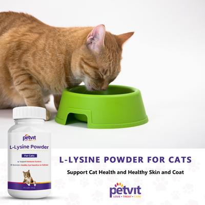 Petvit L-Lysine Powder for Cats 100 gm - Petfood