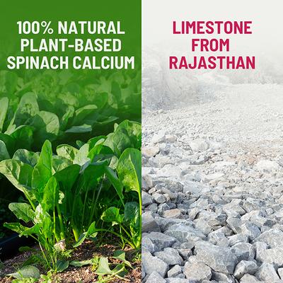 Gynoveda Spinach Calcium Drops 15 ml - Speciality Medicines