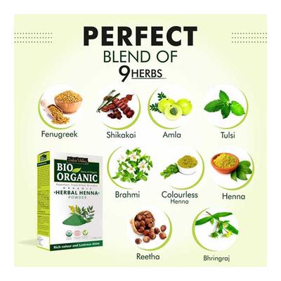 Indus Valley Bio Organic Herbal Henna Powder 100 gm - Personal Care (Ayush)