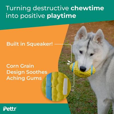 Pettr Dog Soccer Ball for Small Dogs 1's - Pet accessories