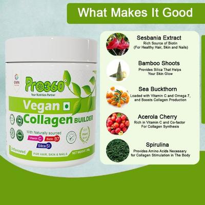 Pro360 100% Plant Based Vegan Collagen Builder - Unflavored 250 gm - Amino Acids