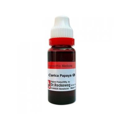 Dr. Reckeweg Carica Papaya Ø Liquid 20 ml - Mother Tincture