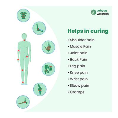 Sahyog Wellness Orthopaedic Heating Belt - Supports And Braces