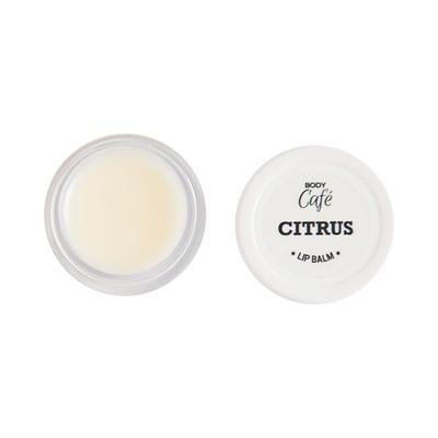 Body Cafe Citrus Lip Balm 10 gm - Lip Balms