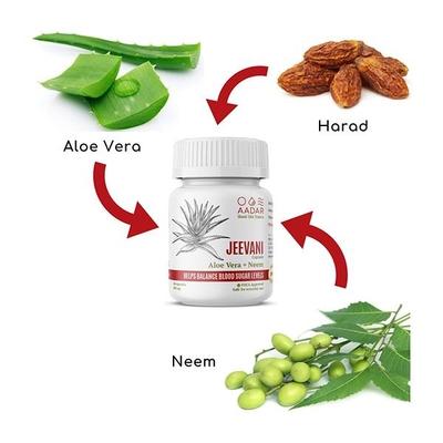 Aadar Jeevani Capsules 60's- Natural Blood Glucose Support, with Aloe Vera & Neem - Health Products