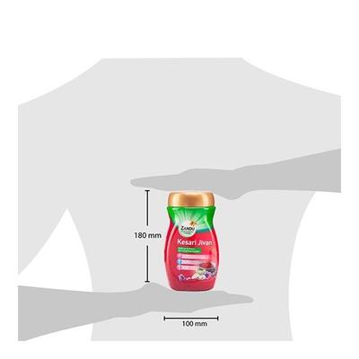 Zandu Kesari Jivan Sugar Free 450 gm - Speciality Medicines