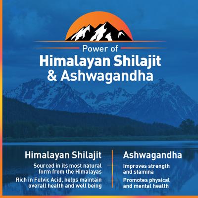 Zandu Vigorex Shilajit Ashwagandha Capsule 60's - Sexual Healthcare