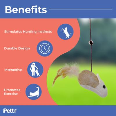 Pettr Cat Fishing Wand Toy 1's - Pet accessories