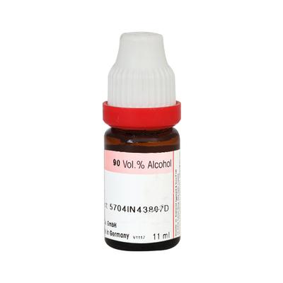 Dr. Reckeweg Sarsaparilla 6 Liquid 11 ml - Dilutions