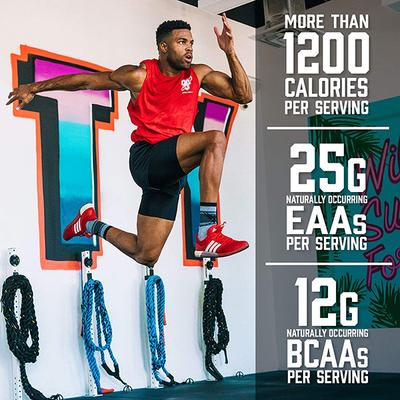 BSN True Mass 1200 Mass Gainer Powder - Chocolate Flavour Milkshake 10.38 lb - Workout Essentials