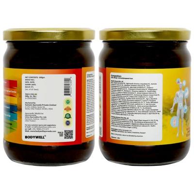 Bodywell Chyawanprash Paste (Pack of 2 x 600 gm) - Chyawanprash