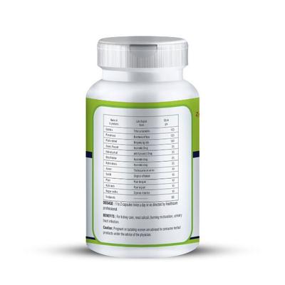 Zenius Kidney Care 500 mg Capsule 60's - Speciality Medicines