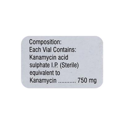 Kanamac 750mg Injection 1's - Bacterial Infections-Ami