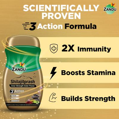 Zandu Shilajitprash 900 g - Chyawanprash