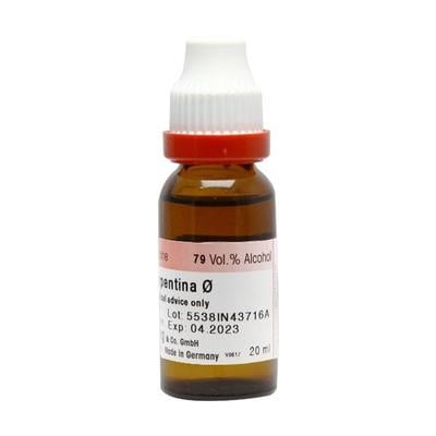Dr. Reckeweg Rauwolfia Serp Ø Liquid 20 ml - Mother Tincture