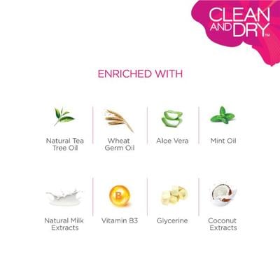 Clean & Dry Foam Wash 85 gm - Intimate Care