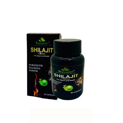 Dhanwantri Shilajit Capsule 60's - Speciality Medicines