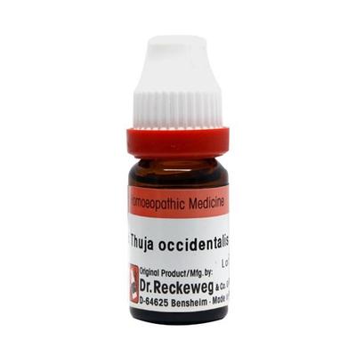 Dr. Reckeweg Thuja Occidentalis 50M Liquid 11 ml - Dilutions