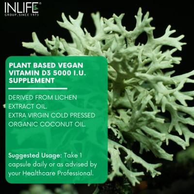 Inlife Vitamin D3 5000 IU Vegan Capsule 60's - Calcium And Minerals