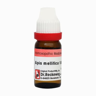 Dr. Reckeweg Apis Mellifica 1M Liquid 11 ml - Dilutions