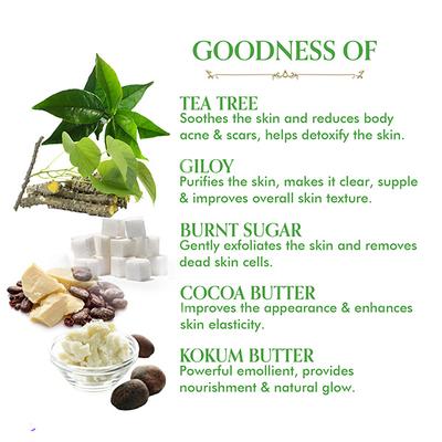 TAC The Ayurveda Co. Tea Tree & Giloy Sugar Soap (Pack 3 x 300 gm) - Personal Care (Ayush)