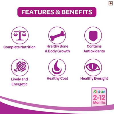 Whiskas Junior Mackerel Flavor 450 gm - Petfood