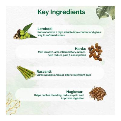 Dr.Vaidya's Herbopile Pills (Pack of 2 x 30's) - Speciality Medicines