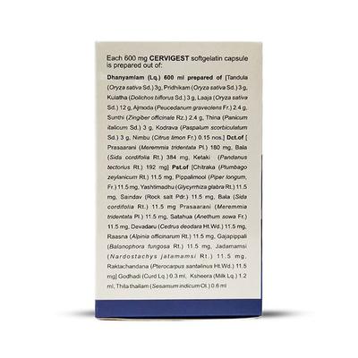 Kerala Ayurveda Cervigest Capsule 90's - Speciality Medicines