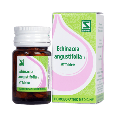 Dr. Willmar Schwabe Echinacea Angustifolia 1X Tablet 20 gm - Triturations (Homeo Tablets)