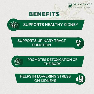 Dr. Vaidya's Punarnava Pills (Pack of 3 x 24's) - Speciality Medicines