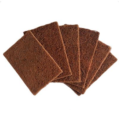 Goli Soda Natural Coconut Coir Dishwashing Scrub Pads 6's - Scrubs & Exfoliants