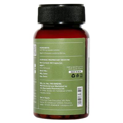 Jiva Ayurveda Giloy Capsule (Pack of 2 x 60's) 1's - Speciality Medicines