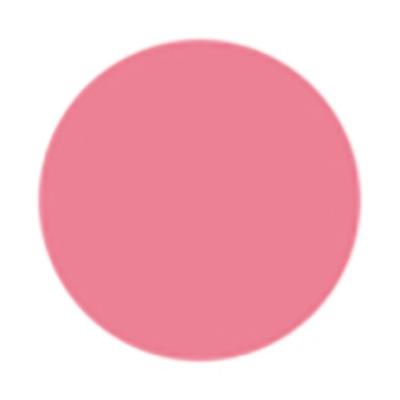 Too Faced Lady Bold Lip Liner Lead The Way 0.23 gm - Lip Liners