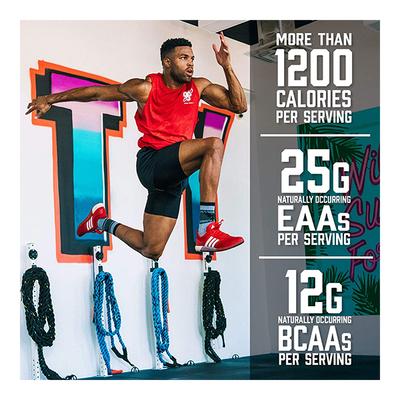 BSN True Mass 1200 Mass Gainer Powder - Chocolate Flavour Milkshake 10.38 lb - Workout Essentials