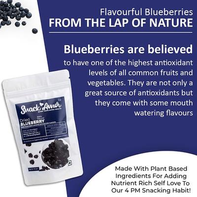 Snack Amor Dried Blueberry (Pack of 2 x 100 gm) - Nutritional Bars