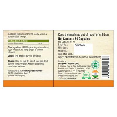 La nature's Gokshura 500 mg Capsule 60's - Speciality Medicines