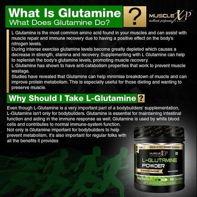 MuscleXP L-Glutamine Powder (60 Servings) - Unflavoured 300 gm - Amino Acids
