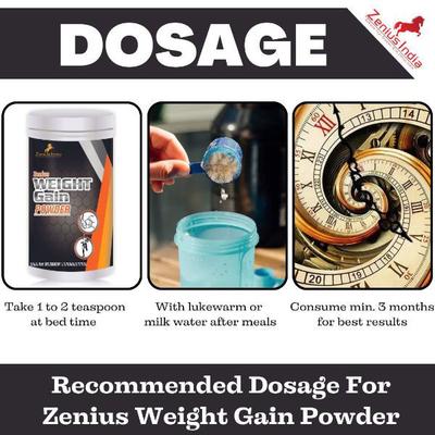 Zenius Weight Gain Powder 500 gm - Speciality Medicines