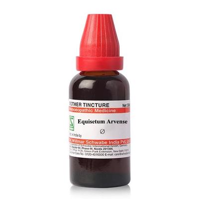 Dr.Willmar Schwabe Equisetum Arvense Ø Liquid 30 ml - Mother Tincture