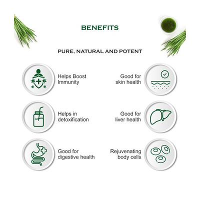 Dabur Wheat Grass Juice 500 ml - Ayurvedic Juices