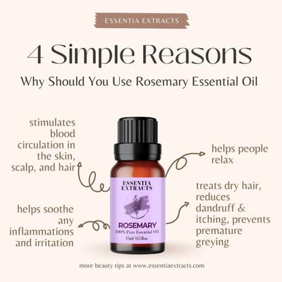 Essentia Extracts Pure Steam Distilled Essential Oil - Rosemary (Pack of 2 x 15 ml) 1's - Essential Oils
