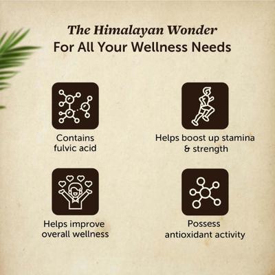 Neuherbs Pure Himalayan Shilajit Resin 15 gm - Sexual Care