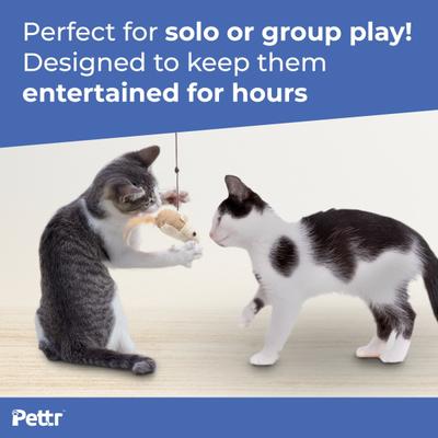 Pettr Cat Fishing Wand Toy 1's - Pet accessories